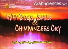 لماذا تضحك الكلاب بينما تبكي القرود
