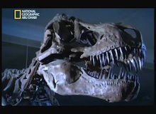 إعادة ترميم التيرانوصور