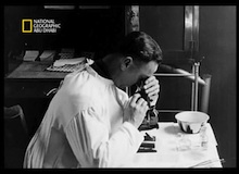 قضية للتشريح : الإنفلونزا عام 1918