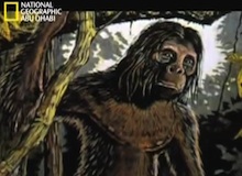 حقيقة أم زيف : رجل سومطرة القرد