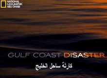 كارثة ساحل الخليج