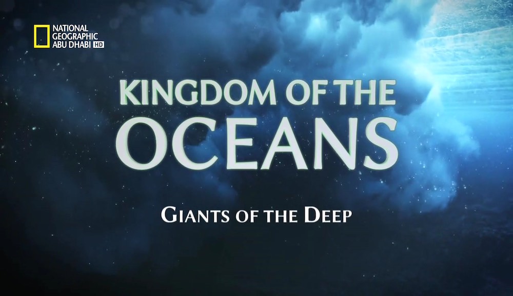 مملكة البحار HD : عمالقة القعر