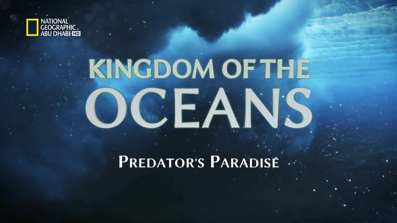 مملكة البحار HD : جنة المفترسين