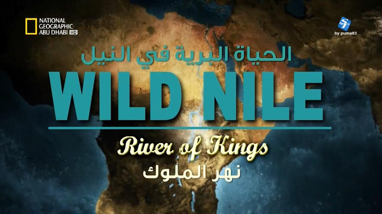 الحياة البرية في النيل HD : نهر الملوك