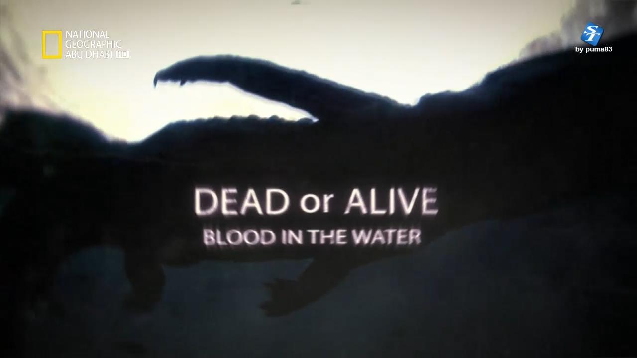 حيّ أم ميت HD : دماء في الماء
