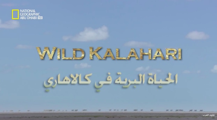 وجهات برية HD - الحياة البرية في كالاهاري