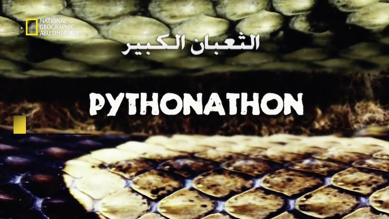 الثعبان الكبير HD - Pythonathon