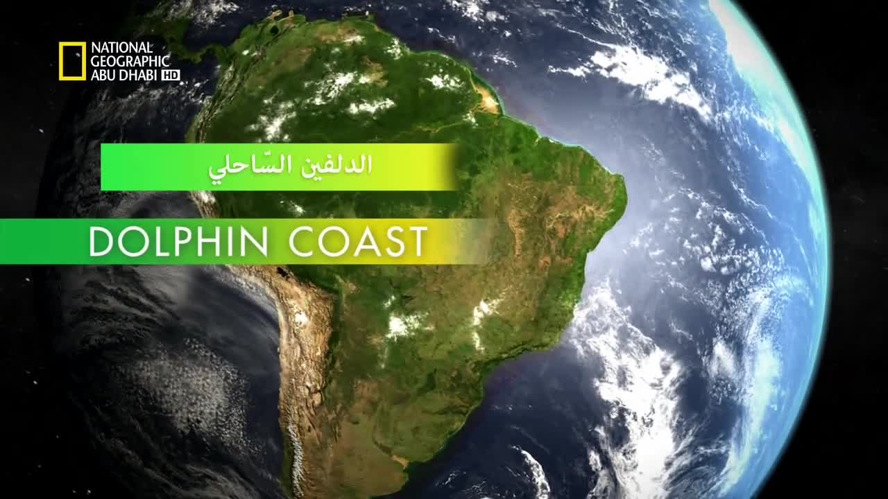 وجهات برية HD : البرازيل البرية – ساحل الدلفين