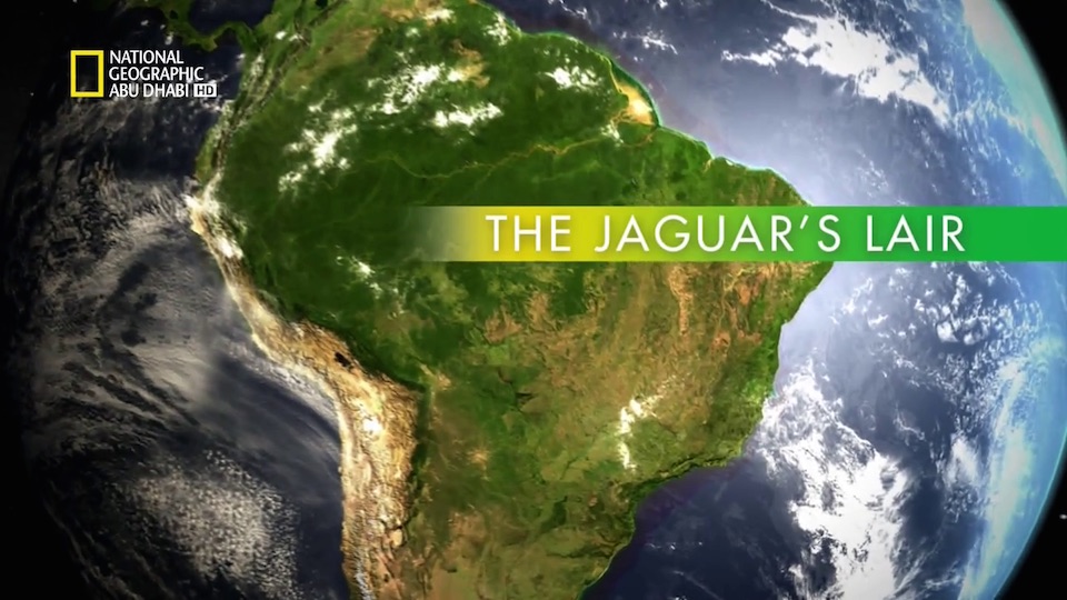 وجهات برية HD : البرازيل البرية – مخبأ جاكوار