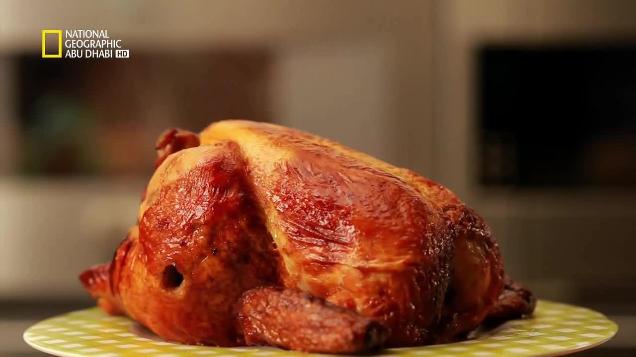 ملفات الغذاء HD : الدجاج