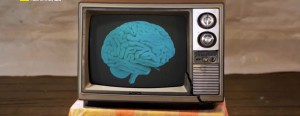 ألعاب العقل HD : خبراء الدماغ