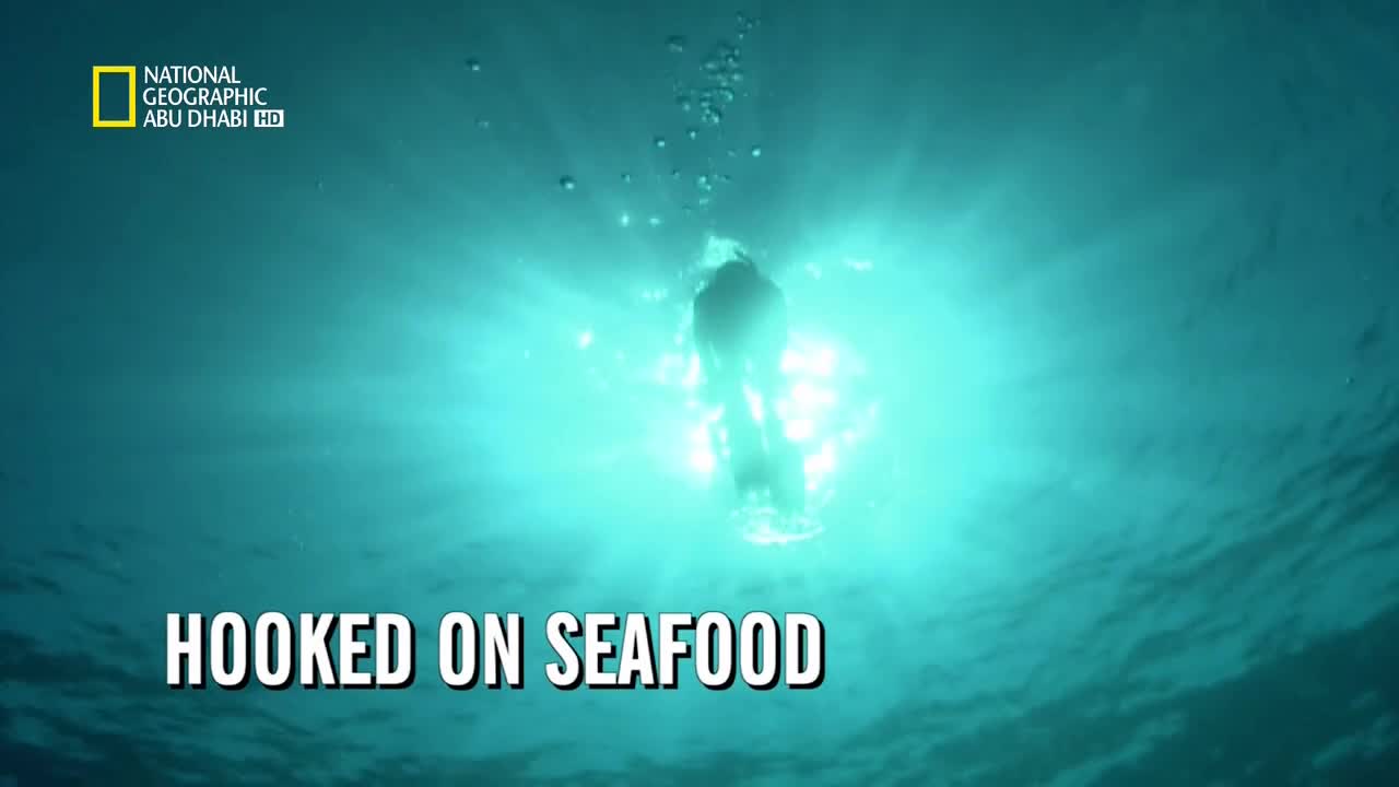 قصة الغذاء HD : الادمان على الماكولات البحرية
