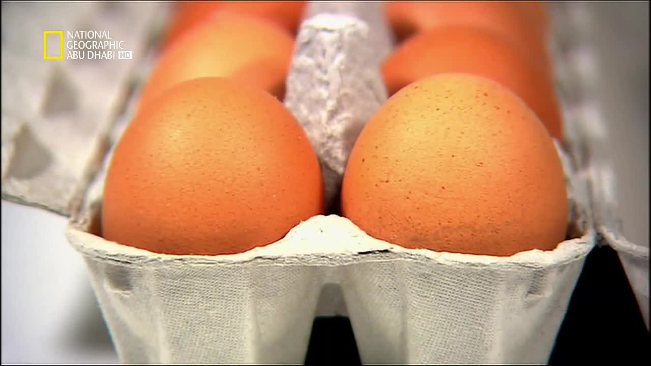 ملفات الغذاء HD : البيض