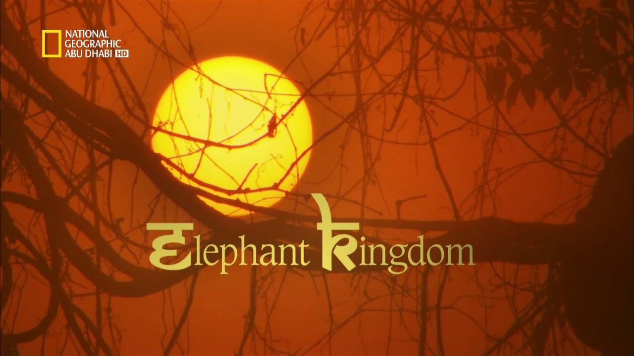 خفايا البراري الهندية HD : مملكة الفيلة