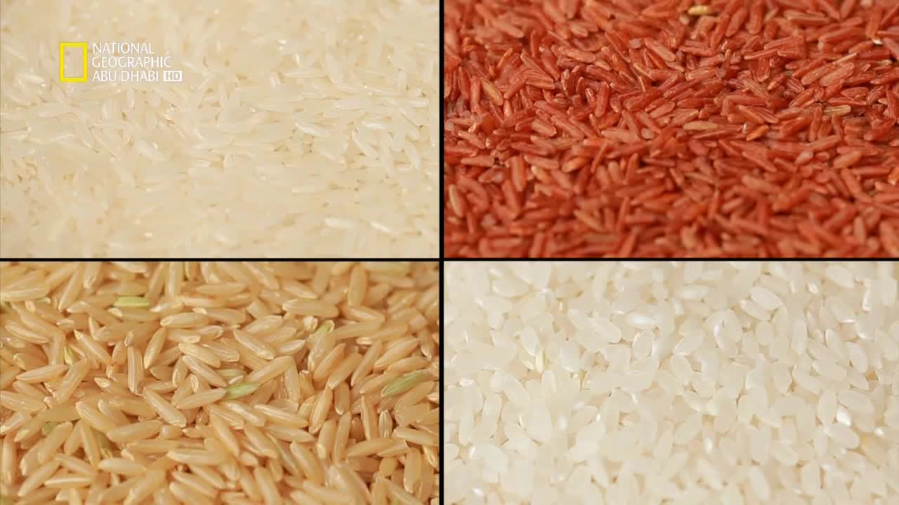 ملفات الغذاء HD : الأرز