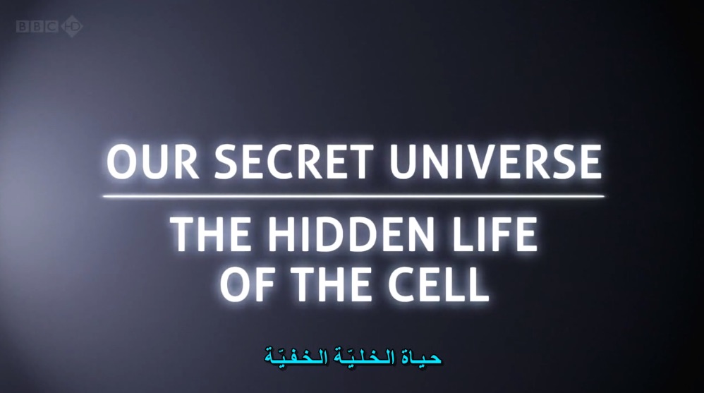 مترجم - سر الكون : الحياة الخفية للخلية