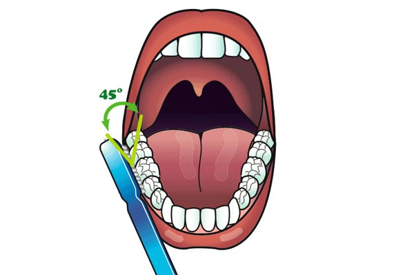  تنظيف الأسنان بدقة و تركيز