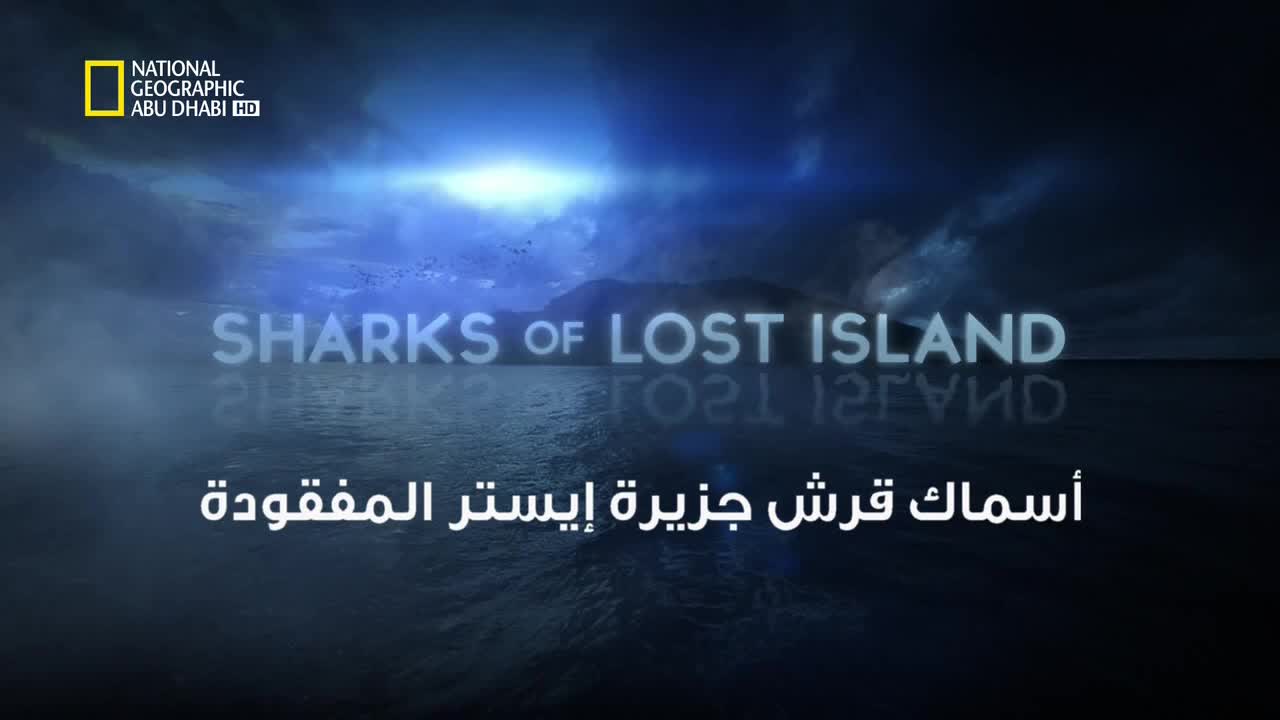 خاص القروش HD : أسماك قرش جزيرة ايستر المفقودة