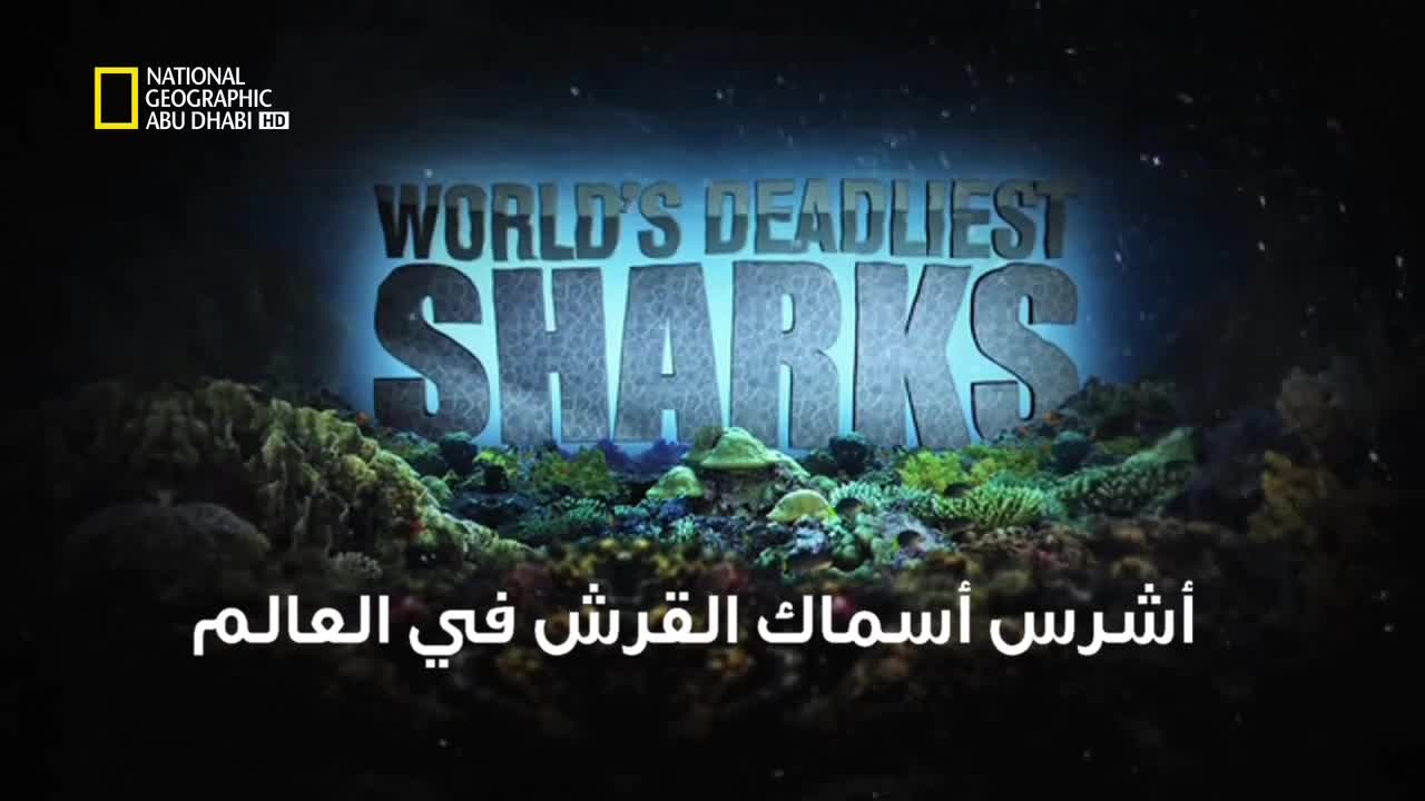 خاص القروش : أشرس أسماك القرش في العالم