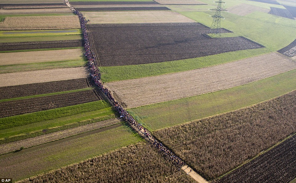صور لآلاف السوريين في طريقهم إلى أوروبا عن طريق البلقان