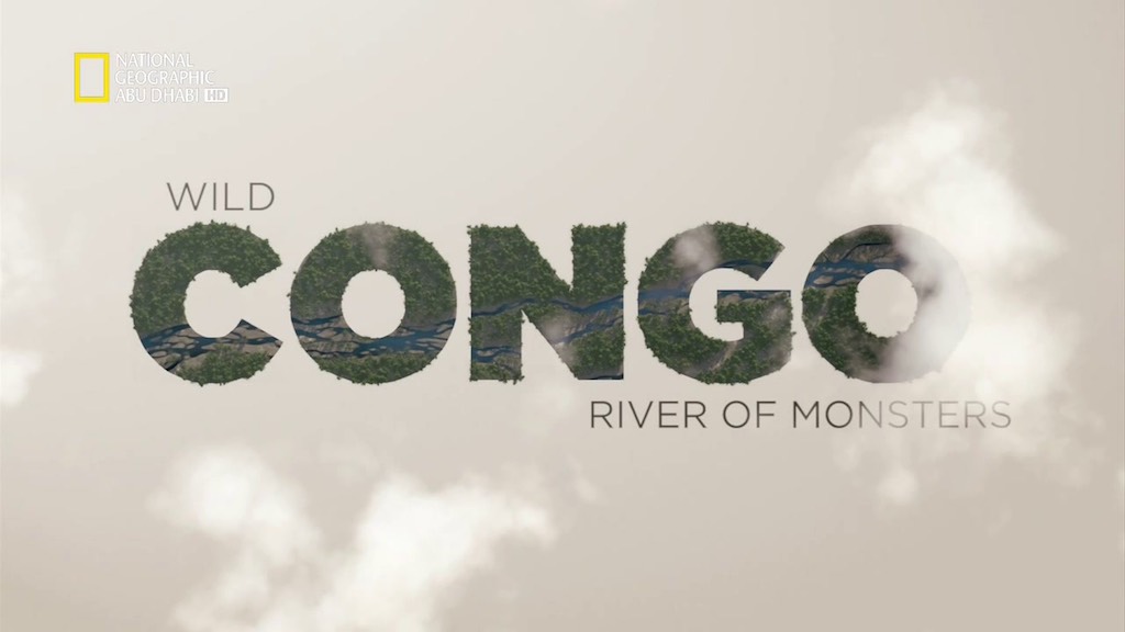 الحياة البرية في الكونغو HD : عمالقة النهر