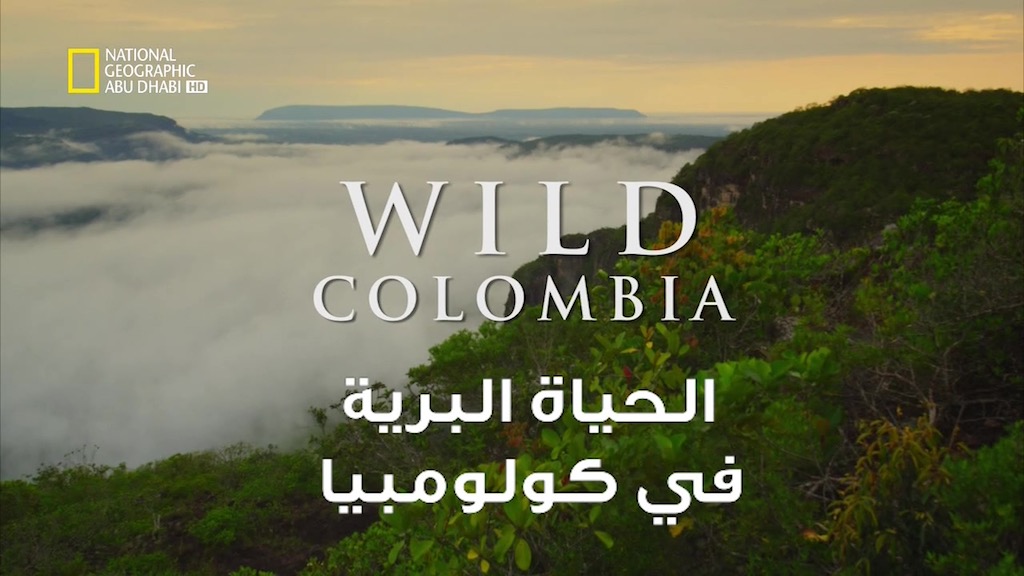 الحياة البرية في كولومبيا HD : الساحل البري في شوكو كولومبيا