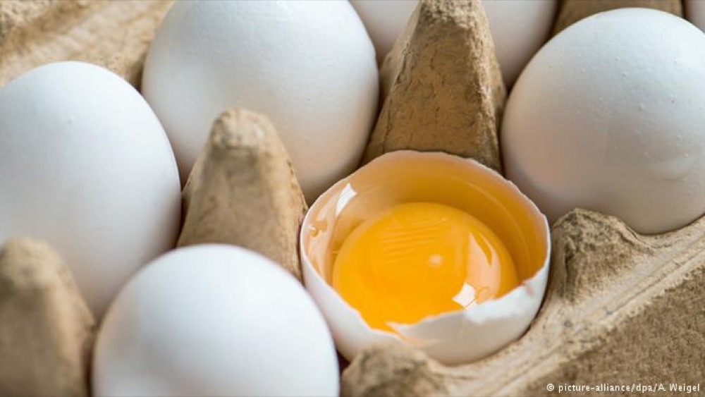 مقال - كيف تحافظ على بيض طازج وصحي لمدة طويلة؟
