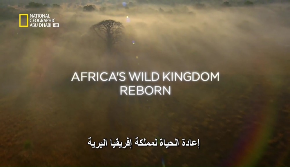 إعادة الحياة لمملكة إفريقيا البرية HD – الحلقة 3