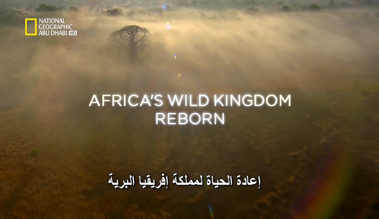 إعادة الحياة لمملكة إفريقيا البرية HD – الحلقة 5