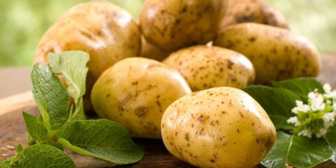مقال - ما لا تعرفه عن فوائد البطاطس!