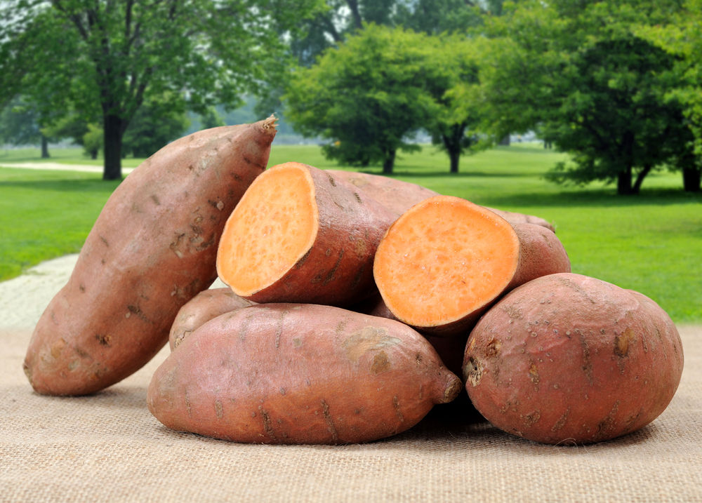 مقال : 7 فوائد صحية لتناول البطاطا الحلوة!
