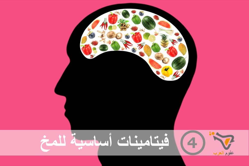 مقال : 4 فيتامينات أساسية للمخ