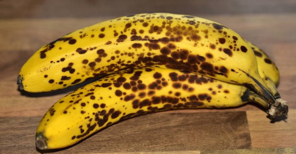 مقال ماذا يحدث للجسم عند تناول "الموز الأسود"؟