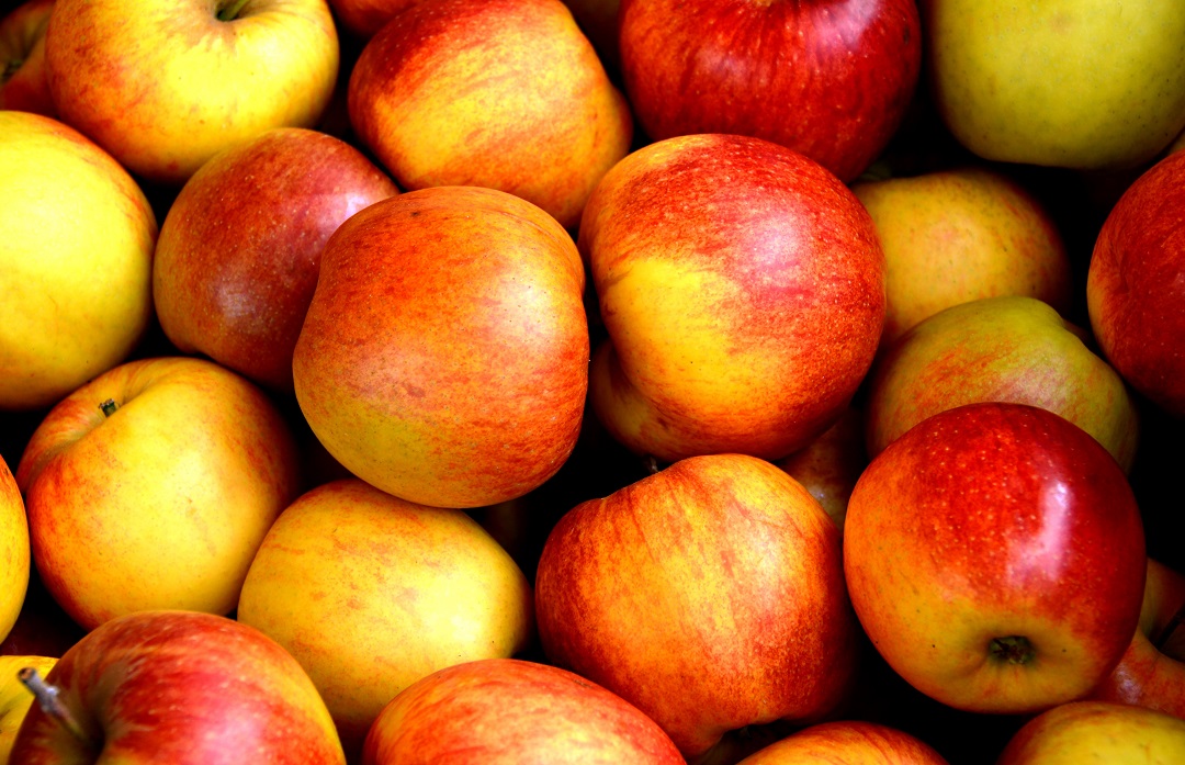 مقال – ما تأثير تناول التفاح يومياً على صحتك؟
