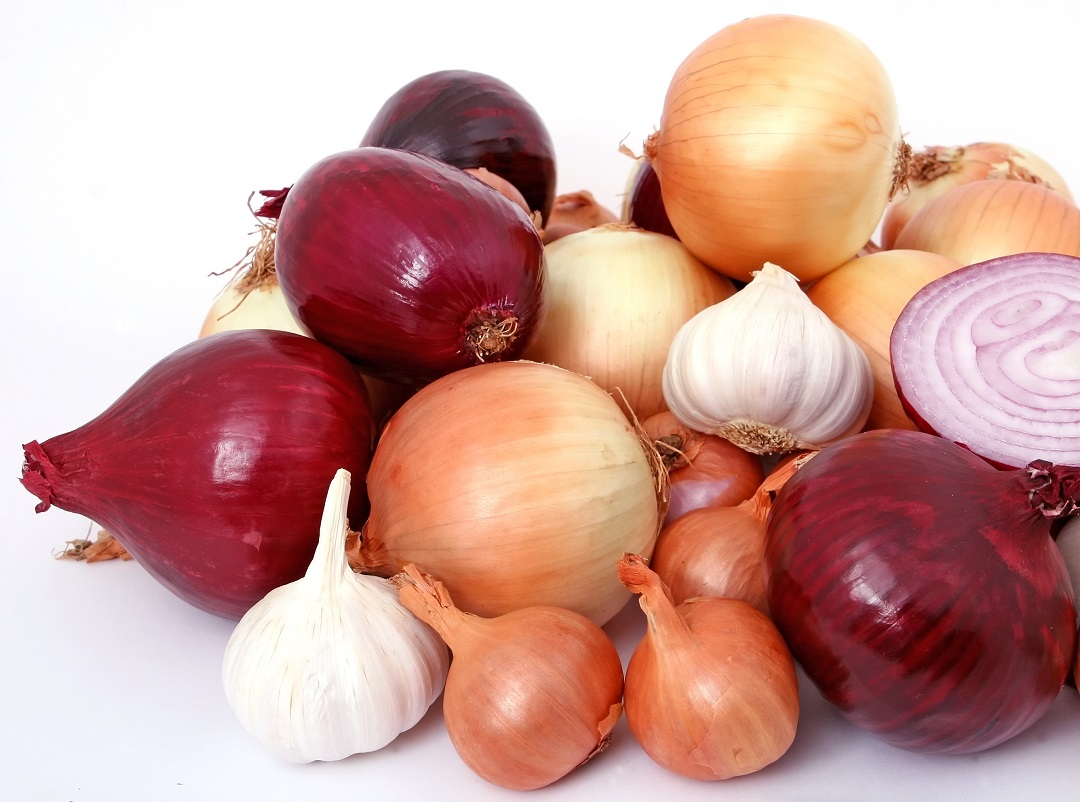 مقال – أيهما أفضل لصحة الإنسان..البصل الأحمر أم الأبيض؟