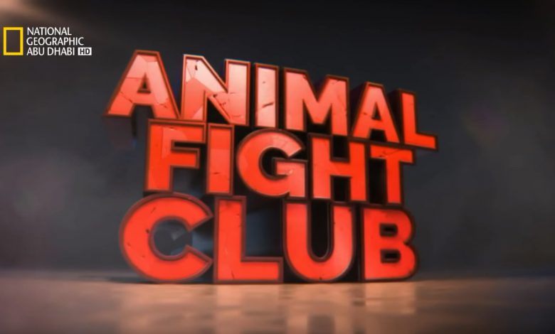 ليلة قتال الحيوانات الحلقة 1