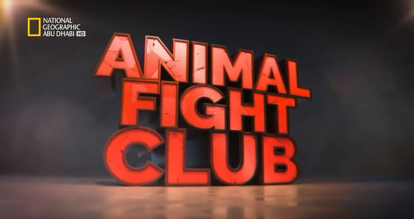 ليلة قتال الحيوانات الحلقة 1