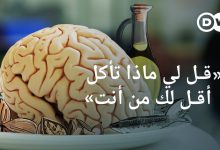 تأثير الطعام على الدماغ و السلوك الإجتماعي