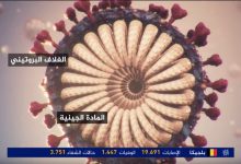 شرح مفصل لآلية عمل فيروس كورونا داخل أجسامنا