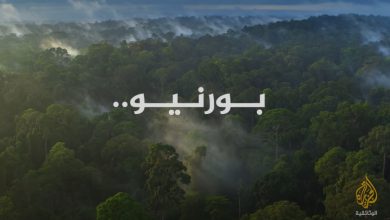 بورنيو .. الجزيرة العتيقة