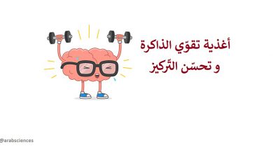 ماهي الأغذية التي تقوّي الذاكرة و تحسّن التّركيز ؟