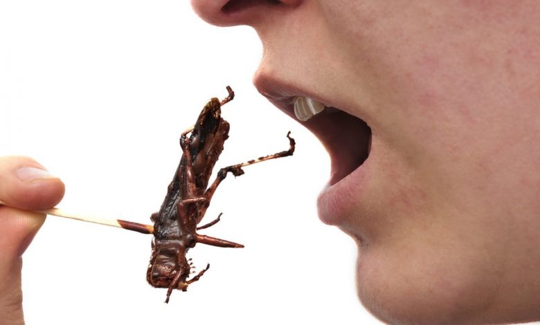 هل أكل الجراد آمن؟ و هل له فوائد؟