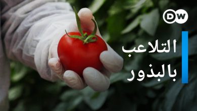 كارتل البذور - الفواكه و الخضروات المعدلة وراثياً