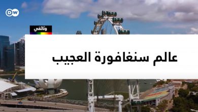 عالم سنغافورة العجيب