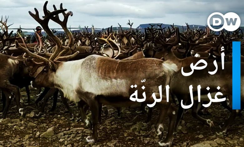 الصيد في الدائرة القطبية الشمالية