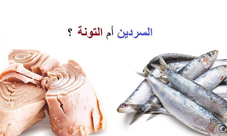 السردين أم التونة .. ما الأفضل لصحتك؟