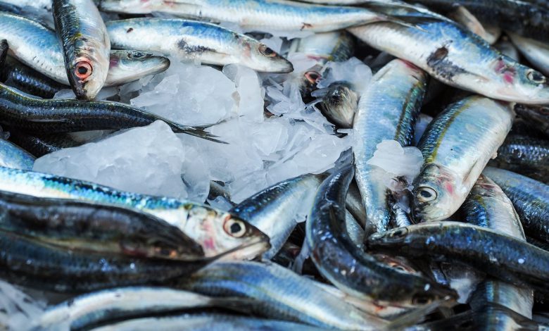 ماذا يحدث لجسمك إذا تناولت سمك السردين أسبوعياً؟