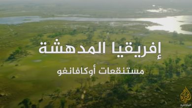 أفريقيا المدهشة - مستنقعات أوكافانغو