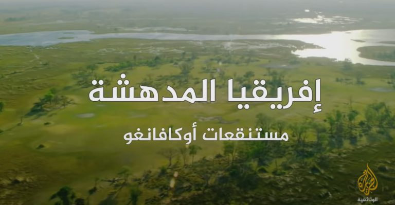 أفريقيا المدهشة - مستنقعات أوكافانغو