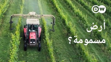 هل تتسبب المبيدات في انتشار مرض باركنسون بين المزارعين؟